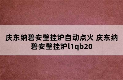 庆东纳碧安壁挂炉自动点火 庆东纳碧安壁挂炉l1qb20